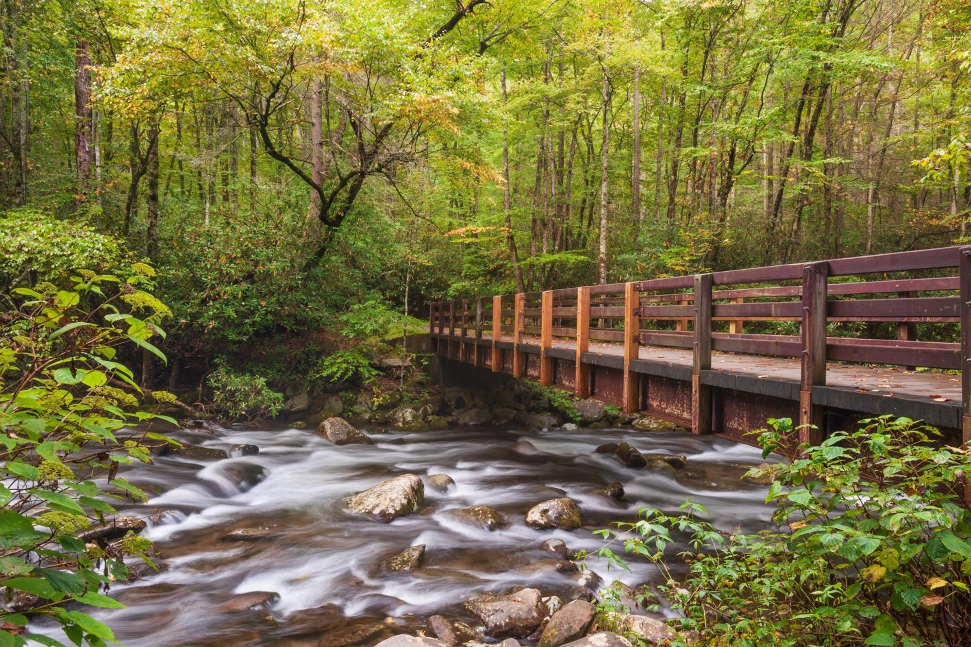 Lazy Bear Lodge, Hot Tub, Resort Pool, Wifi, 1089 Free Tickets Each Paid Day, Dollywood And More Gatlinburg Luaran gambar